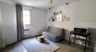 Appartement meublé 1 pièce 21 m²